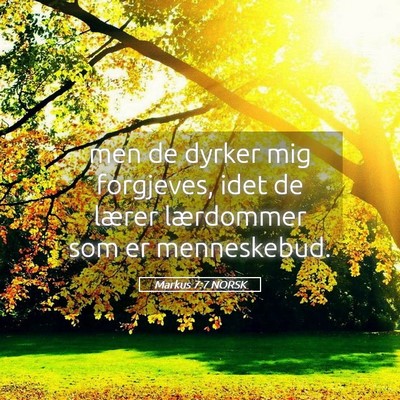 Picture 05 - Markus 7:7 NORSK - men de dyrker mig forgjeves, idet de lærer - Bible Verse Picture