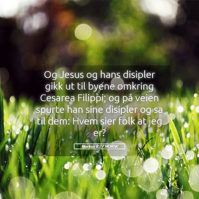 Picture 05 - Markus 8:27 NORSK - Og Jesus og hans disipler gikk ut til byene - Bible Verse Picture