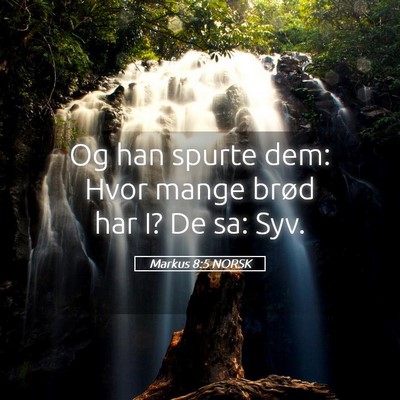 Picture 05 - Markus 8:5 NORSK - Og han spurte dem: Hvor mange brød har I? De sa: - Bible Verse Picture