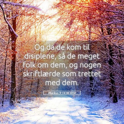 Picture 05 - Markus 9:14 NORSK - Og da de kom til disiplene, så de meget folk om - Bible Verse Picture