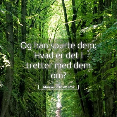 Picture 05 - Markus 9:16 NORSK - Og han spurte dem: Hvad er det I tretter med dem - Bible Verse Picture