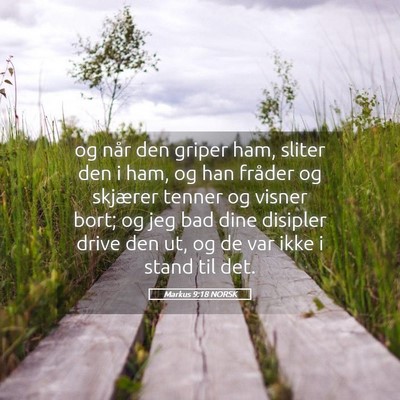 Picture 05 - Markus 9:18 NORSK - og når den griper ham, sliter den i ham, og han - Bible Verse Picture