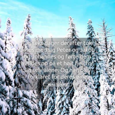 Picture 05 - Markus 9:2 NORSK - Og seks dager derefter tok Jesus med sig Peter og - Bible Verse Picture