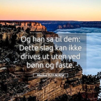 Picture 05 - Markus 9:29 NORSK - Og han sa til dem: Dette slag kan ikke drives ut - Bible Verse Picture