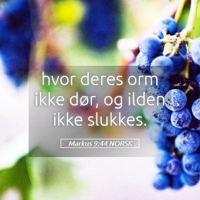 Picture 05 - Markus 9:44 NORSK - hvor deres orm ikke dør, og ilden ikke - Bible Verse Picture