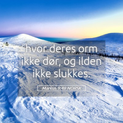 Picture 05 - Markus 9:48 NORSK - hvor deres orm ikke dør, og ilden ikke - Bible Verse Picture