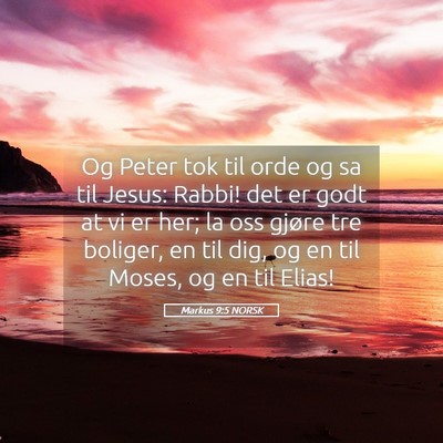 Picture 05 - Markus 9:5 NORSK - Og Peter tok til orde og sa til Jesus: Rabbi! det - Bible Verse Picture