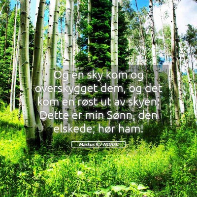 Picture 05 - Markus 9:7 NORSK - Og en sky kom og overskygget dem, og det kom en - Bible Verse Picture
