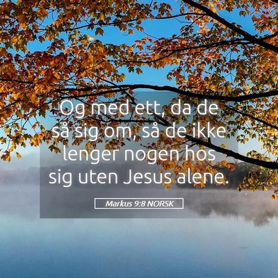 Picture 05 - Markus 9:8 NORSK - Og med ett, da de så sig om, så de ikke lenger - Bible Verse Picture