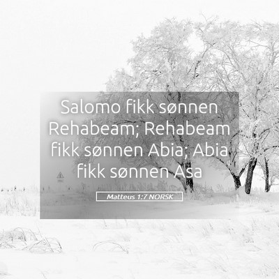 Picture 05 - Matteus 1:7 NORSK - Salomo fikk sønnen Rehabeam; Rehabeam fikk - Bible Verse Picture