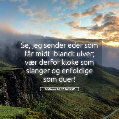 Picture 05 - Matteus 10:16 NORSK - Se, jeg sender eder som får midt iblandt ulver; - Bible Verse Picture