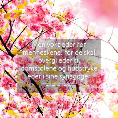 Picture 05 - Matteus 10:17 NORSK - Men vokt eder for menneskene! for de skal overgi - Bible Verse Picture