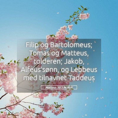 Picture 05 - Matteus 10:3 NORSK - Filip og Bartolomeus; Tomas og Matteus, tolderen; - Bible Verse Picture
