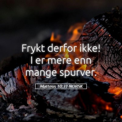 Picture 05 - Matteus 10:31 NORSK - Frykt derfor ikke! I er mere enn mange - Bible Verse Picture