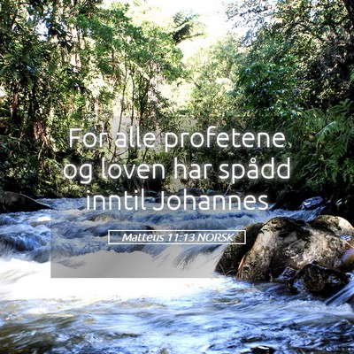 Picture 05 - Matteus 11:13 NORSK - For alle profetene og loven har spådd inntil - Bible Verse Picture