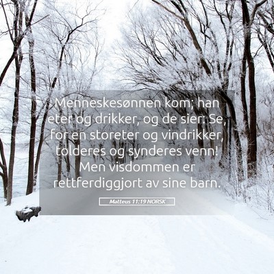 Picture 05 - Matteus 11:19 NORSK - Menneskesønnen kom; han eter og drikker, og de - Bible Verse Picture