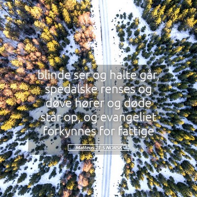Picture 05 - Matteus 11:5 NORSK - blinde ser og halte går, spedalske renses og - Bible Verse Picture