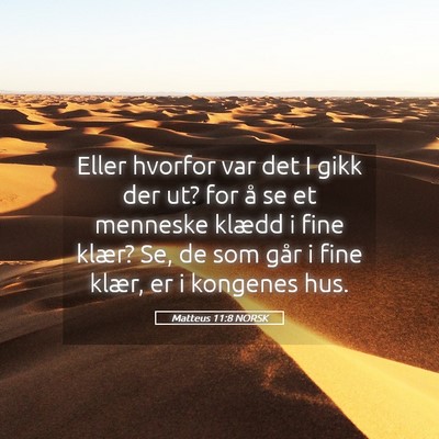 Picture 05 - Matteus 11:8 NORSK - Eller hvorfor var det I gikk der ut? for å se et - Bible Verse Picture