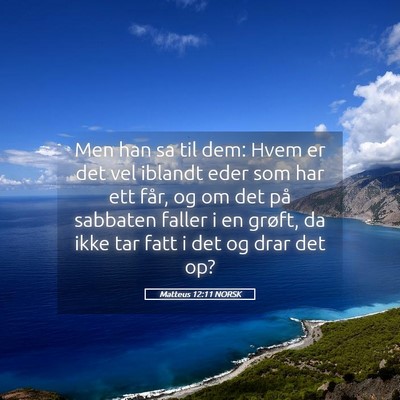Picture 05 - Matteus 12:11 NORSK - Men han sa til dem: Hvem er det vel iblandt eder - Bible Verse Picture