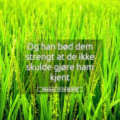 Picture 05 - Matteus 12:16 NORSK - Og han bød dem strengt at de ikke skulde gjøre - Bible Verse Picture