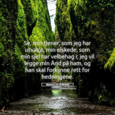 Picture 05 - Matteus 12:18 NORSK - Se, min tjener, som jeg har utvalgt, min elskede, - Bible Verse Picture