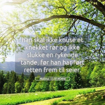 Picture 05 - Matteus 12:20 NORSK - han skal ikke knuse et knekket rør og ikke - Bible Verse Picture