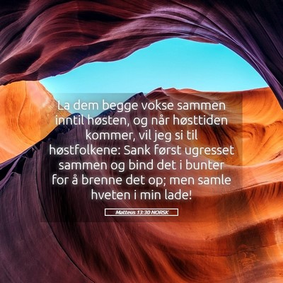 Picture 05 - Matteus 13:30 NORSK - La dem begge vokse sammen inntil høsten, og når - Bible Verse Picture