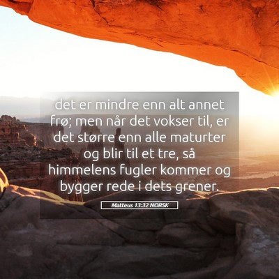 Picture 05 - Matteus 13:32 NORSK - det er mindre enn alt annet frø; men når det - Bible Verse Picture