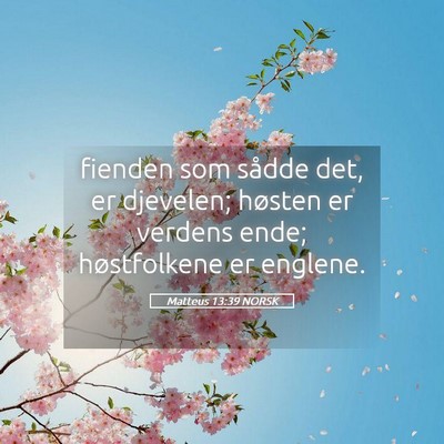 Picture 05 - Matteus 13:39 NORSK - fienden som sådde det, er djevelen; høsten er - Bible Verse Picture