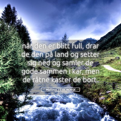 Picture 05 - Matteus 13:48 NORSK - når den er blitt full, drar de den på land og - Bible Verse Picture