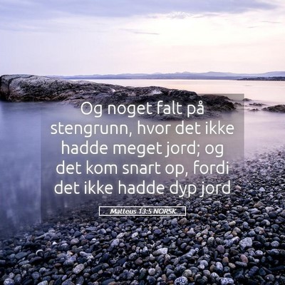 Picture 05 - Matteus 13:5 NORSK - Og noget falt på stengrunn, hvor det ikke hadde - Bible Verse Picture