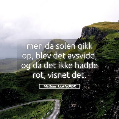 Picture 05 - Matteus 13:6 NORSK - men da solen gikk op, blev det avsvidd, og da det - Bible Verse Picture
