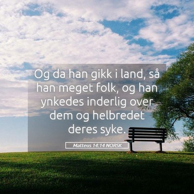 Picture 05 - Matteus 14:14 NORSK - Og da han gikk i land, så han meget folk, og han - Bible Verse Picture