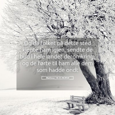 Picture 05 - Matteus 14:35 NORSK - Og da folket på dette sted kjente ham igjen, - Bible Verse Picture