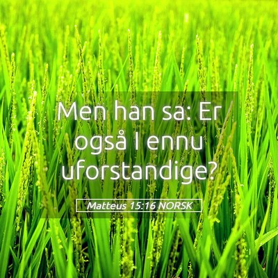 Picture 05 - Matteus 15:16 NORSK - Men han sa: Er også I ennu - Bible Verse Picture