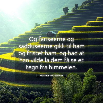 Picture 05 - Matteus 16:1 NORSK - Og fariseerne og sadduseerne gikk til ham og - Bible Verse Picture