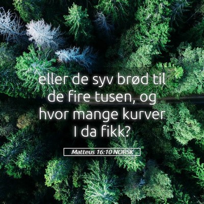 Picture 05 - Matteus 16:10 NORSK - eller de syv brød til de fire tusen, og hvor - Bible Verse Picture