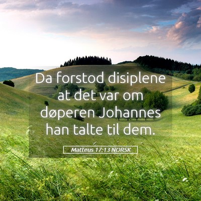 Picture 05 - Matteus 17:13 NORSK - Da forstod disiplene at det var om døperen - Bible Verse Picture