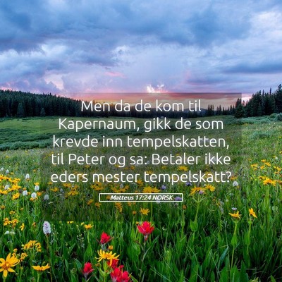 Picture 05 - Matteus 17:24 NORSK - Men da de kom til Kapernaum, gikk de som krevde - Bible Verse Picture