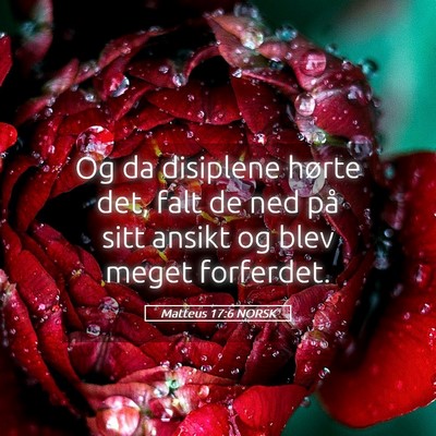 Picture 05 - Matteus 17:6 NORSK - Og da disiplene hørte det, falt de ned på sitt - Bible Verse Picture