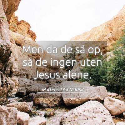 Picture 05 - Matteus 17:8 NORSK - Men da de så op, så de ingen uten Jesus - Bible Verse Picture