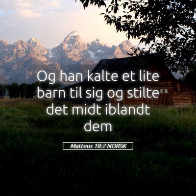 Picture 05 - Matteus 18:2 NORSK - Og han kalte et lite barn til sig og stilte det - Bible Verse Picture