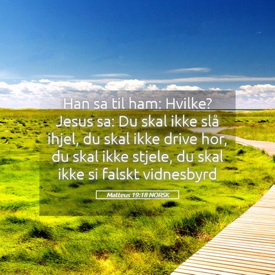 Picture 05 - Matteus 19:18 NORSK - Han sa til ham: Hvilke? Jesus sa: Du skal ikke - Bible Verse Picture