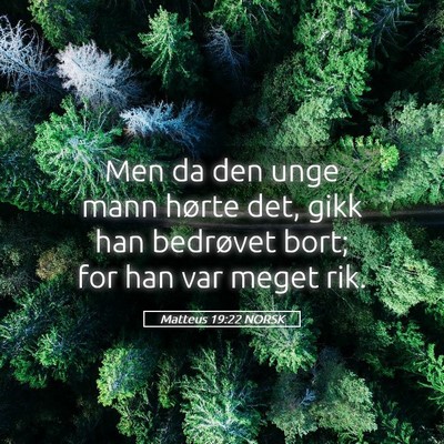 Picture 05 - Matteus 19:22 NORSK - Men da den unge mann hørte det, gikk han - Bible Verse Picture