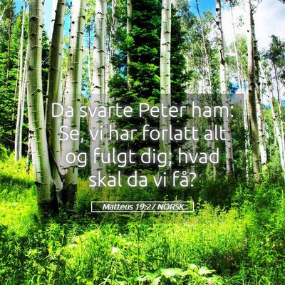 Picture 05 - Matteus 19:27 NORSK - Da svarte Peter ham: Se, vi har forlatt alt og - Bible Verse Picture