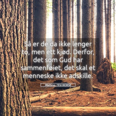 Picture 05 - Matteus 19:6 NORSK - Så er de da ikke lenger to, men ett kjød. - Bible Verse Picture