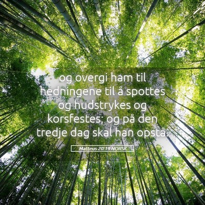 Picture 05 - Matteus 20:19 NORSK - og overgi ham til hedningene til å spottes og - Bible Verse Picture