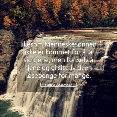 Picture 05 - Matteus 20:28 NORSK - likesom Menneskesønnen ikke er kommet for å la - Bible Verse Picture