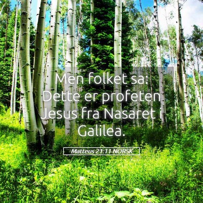 Picture 05 - Matteus 21:11 NORSK - Men folket sa: Dette er profeten Jesus fra - Bible Verse Picture