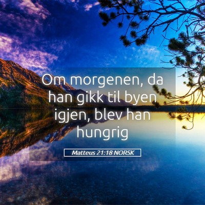 Picture 05 - Matteus 21:18 NORSK - Om morgenen, da han gikk til byen igjen, blev han - Bible Verse Picture